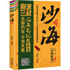 沙海 2 南派三叔 著 侦探推理/恐怖惊悚小说文学 新华书店正版图书籍 广东旅游出版社