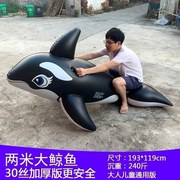 超大游泳圈海豚黑鲸鱼冲浪网红款成人大人充气坐骑，大鲨鱼水上玩具
