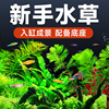 活体水草植物鱼缸造景，水培植物真草蜈蚣，竹节宫廷草中后景阴性水草