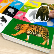 动物认知贴纸游戏2-3-4-5岁儿童中英双语早教趣味启蒙贴纸书鸟类昆虫海洋野生动物反复粘贴全脑开发卡通玩具