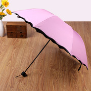 创意三折叠黑胶遇水开花伞广告伞，晴雨伞创意网红户外晴雨伞