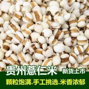 新货薏米仁正宗新鲜小薏仁米，500g五谷杂粮薏苡仁薏米，颗粒饱满细腻