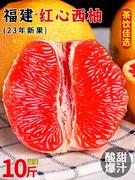 福建红心西柚10斤新鲜水果现摘当季蜜柚子红肉葡萄柚孕妇整箱