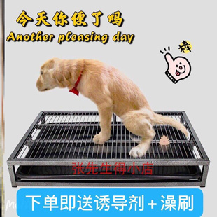 狗厕所中型犬大中m小型泰迪，金毛厕所狗，便盆大号可x冲水厕所