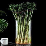 特大玻璃花瓶透明大直筒透明客厅落地插花富贵竹水培水养简约摆件