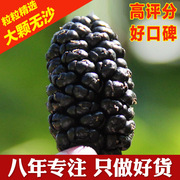 巴蜀馆无沙黑桑葚干 桑椹子500g 特级免洗新鲜桑果干泡酒茶非新疆