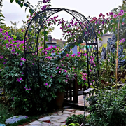 铁艺拱门架子欧式铁艺园艺户外庭院花架花园月季爬藤架鲜花网格门