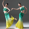 2傣族舞蹈服女表演服修身舞蹈裙孔雀舞，鱼尾裙艺考服演出服