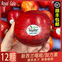 进口嘎啦果加力gala，红玫瑰新鲜