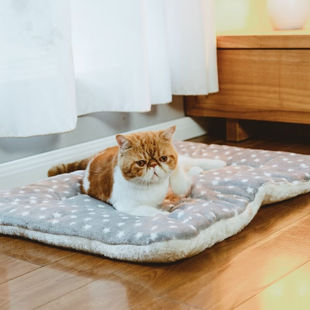 汤琪（TANGQI）冬季保暖狗狗垫子猫猫睡垫加厚宠物棉垫猫窝狗窝耐