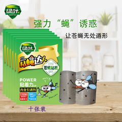 绿叶粘蝇达人粘蝇彩色板苍蝇纸板