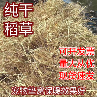 23新稻草(新稻草)宠物草窝草垫牛羊食料装饰填充鸡鸭鹅兔狗垫窝干草软草