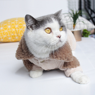 猫衣服冬装加厚保暖宠物猫咪蓝猫加菲猫英短美短休闲时尚冬天棉衣