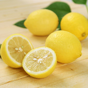 安岳柠檬一级果尤力克，新鲜现摘当季水果不打蜡不浸保鲜剂