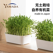 日本进口绿豆芽栽培器豌豆苗，发芽盆蔬菜，猫草种植无土水培育苗托盘