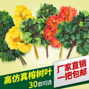 仿真榕树叶过胶塑料榕树枝绿色植物银杏红枫叶子假树枝装饰造景