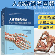 正版 人体解剖学图谱·解剖学总论与肌肉骨骼系统 人体各系统