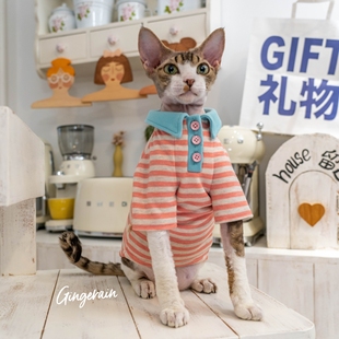 GINGERAIN 德文猫阿比无毛猫衣服条纹POLO衫撞色糖果系甜美卫衣