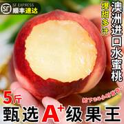 澳洲进口水蜜桃5斤桃子新鲜水果毛桃脆甜当季孕妇整箱大9