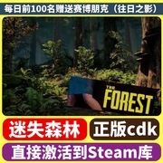 steam正版 迷失森林 The Forest 森林CDK 在线联机 国区激活码KEY