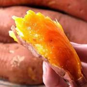 红薯新鲜板栗红薯蜜薯糖心农家小红香薯黄心地瓜紫皮山芋10斤番薯