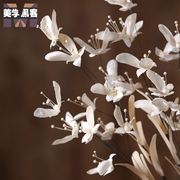 蝴蝶兰仿真花干花花束装饰干花真花假花仿真花长枝，客厅卧室内天然