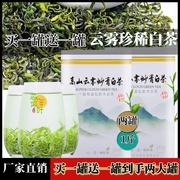 买半斤送2024新茶浓香耐泡珍稀白茶，炒青茶叶雪青绿茶罐装500g一级