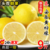 四川安岳黄柠檬(黄柠檬)9斤新鲜水果奶茶店专用皮薄一级香水甜柠檬