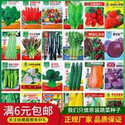 四季蔬菜种子籽孑播种植阳台青菜萝卜，小葱香韭菜生菜黄瓜辣椒大全