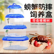 养螃蟹专用缸小型防摔养殖生态缸小宠物带盖手提塑料相手蟹饲养盒