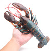 仿真大号波士顿龙虾澳洲龙虾儿童海洋动物玩具认知模型海鲜摆件
