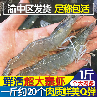 鲜活泰虾500g海虾超大泰国基围虾活虾白对虾泰国虾重庆达达90分钟