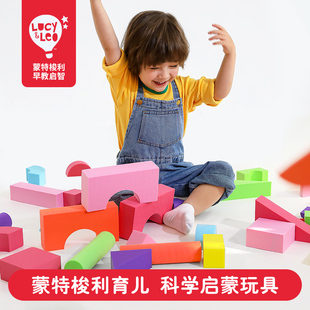 Lucy&Leo儿童拼装环保颜色形状认知积木宝宝1-4岁玩具大颗粒益智
