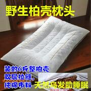 白发转黑助睡眠柏壳枕头侧柏壳枕头枕芯助眠安神失眠保健枕头