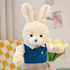 穿衣情侣兔子公仔毛绒玩具可爱小白兔玩偶女孩儿童布娃娃睡觉抱枕