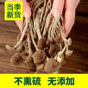 古田特产茶树菇干货茶树菇，干货500g不开伞当年新货无硫熏
