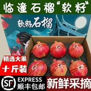 陕西临潼石榴软籽10斤特大果礼盒装西安特产水果