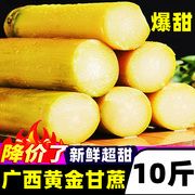 广西特产新鲜黄金甘蔗10斤应季当季水果整箱黑皮热带水果黄皮甜蔗