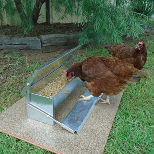 鸡食槽踏板式养鸡用品，料槽防雨防鼠喂鸡神器，自动喂鸡自动喂鸡工具