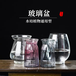 花名堂创意简约透明水培，植物玻璃花瓶，绿萝器皿水养容器花盆