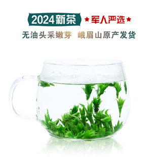 峨眉山普贤茶，2024新茶小叶苦丁茶青山绿水特级无油嫩芽茶叶
