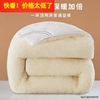 羊毛床垫软垫冬季床褥子，垫被加厚垫褥家用单人，冬天保暖羊羔绒垫子