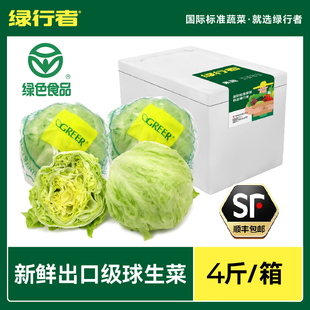 绿行者球生菜圆形生菜，汉堡用新鲜蔬菜，沙拉色拉4斤装生吃包菜