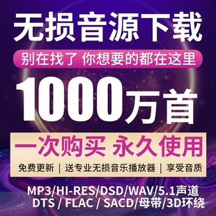 2024年无损车载音乐下载包高音质免费抖音mp3歌曲，djflacwavmp4