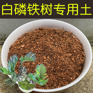 白磷铁树专用土酸性土配方营养土盆栽花卉盆景红土壤有机花土花肥