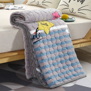 冬季保暖牛奶绒床单床垫加绒加厚毛毯铺单件铺床防滑毯子珊瑚绒