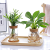 创意玻璃花瓶透明水养，绿植容器轻奢小花瓶，办公桌面装饰品现代摆件