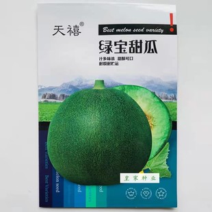 天禧绿宝甜瓜种子早熟薄皮梨形香瓜种籽日本甜宝春秋播种抗病高产