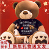 大熊毛绒玩具公仔布洋娃娃，抱抱熊泰迪熊猫大号新年玩偶女生日礼物