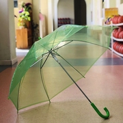 普通透明雨伞长柄自动透明伞，创意雨伞广告伞可做舞台道具伞多色入